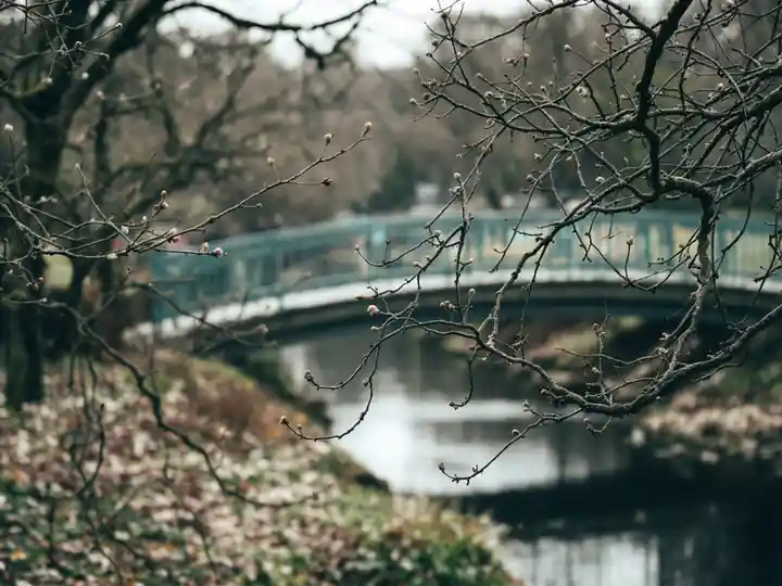 An empty footbridge over a narrow river in a park in spring