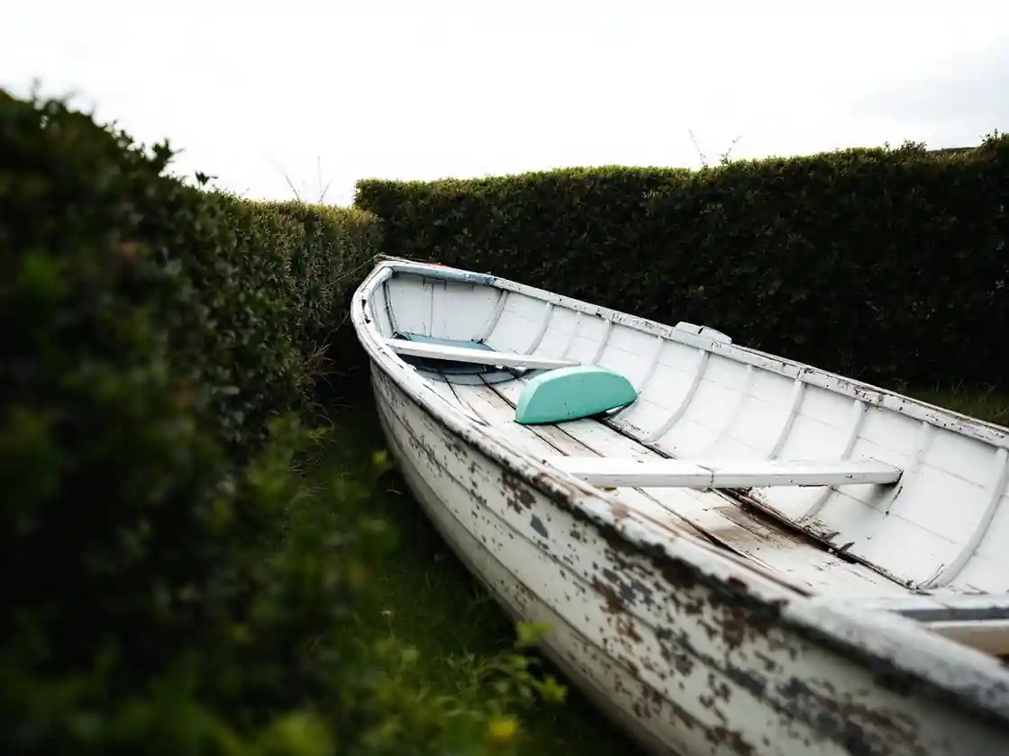 An old wooden rowing boat resting in long grass beside a hedge
