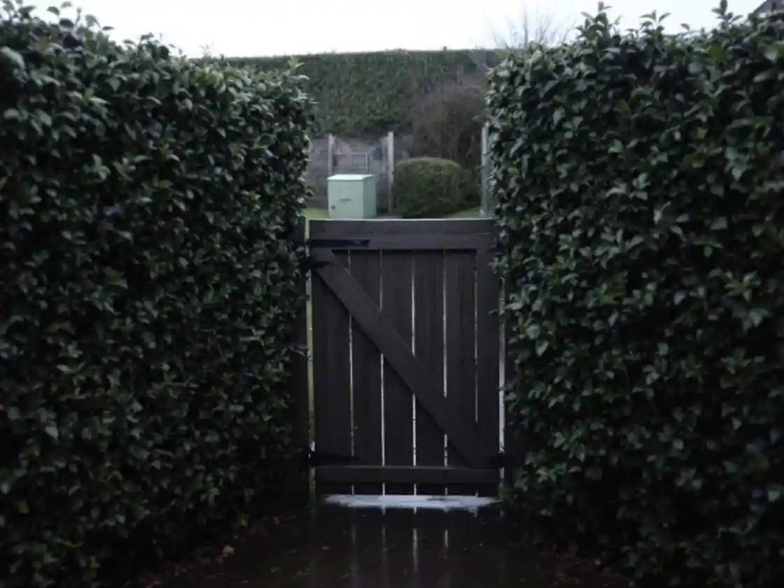 A closed wooden garden gate between two tall hedges