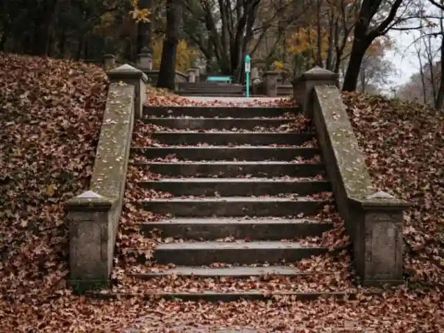A stone staircase in a quiet park covered with fallen leaves