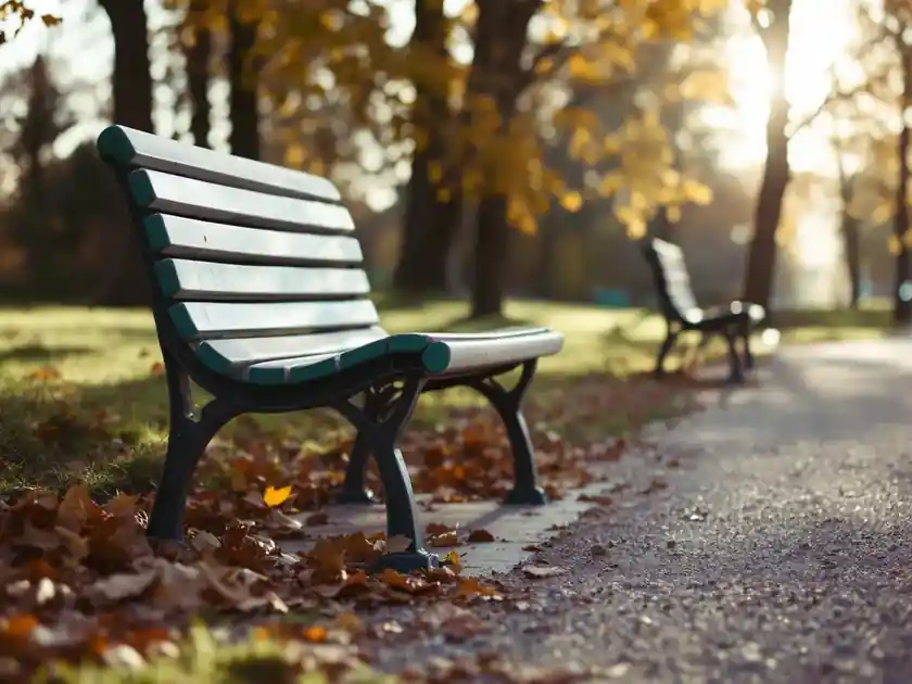 An empty park bench beside a gravel path in autumn