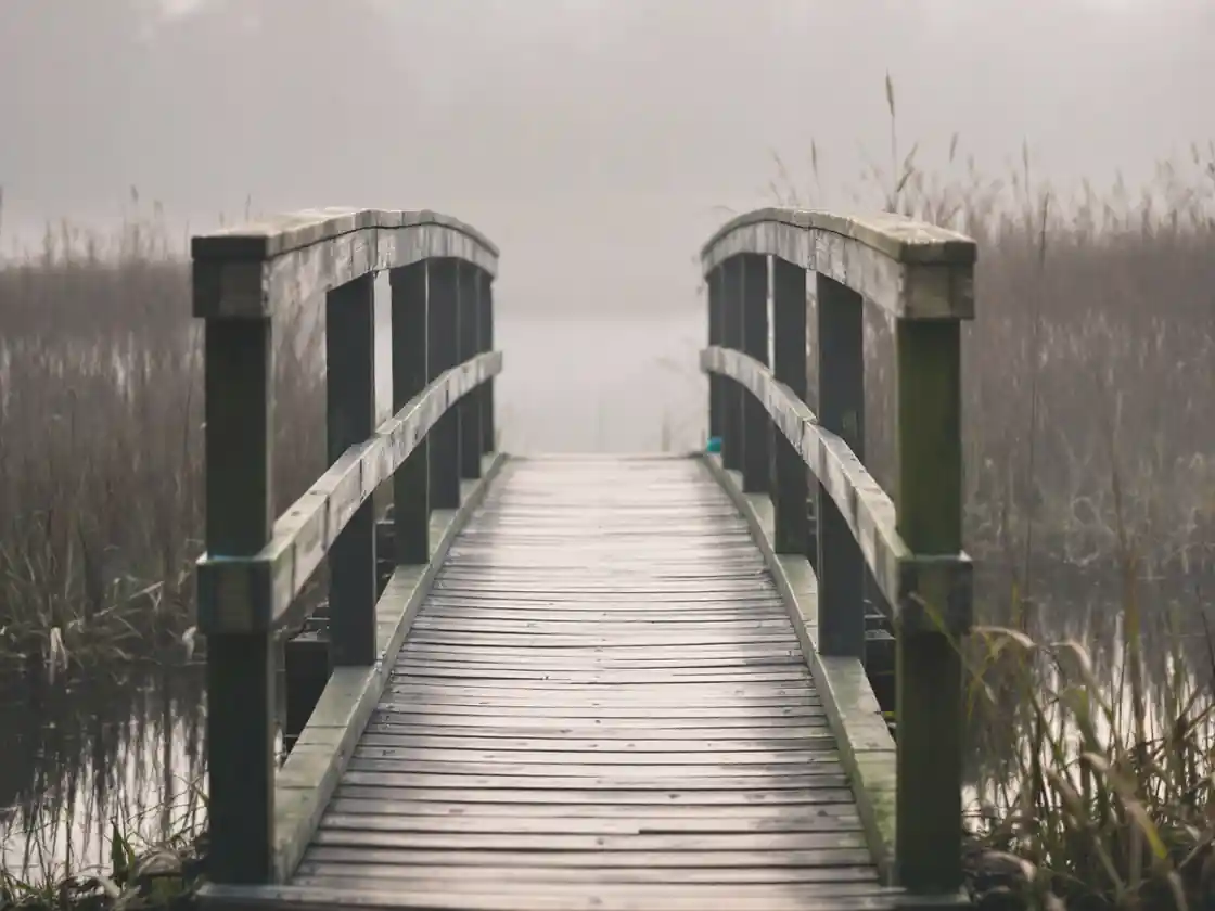 A wooden footbridge over a slow river on a misty morning