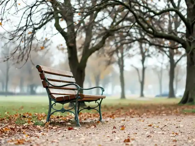 A park bench under bare trees with fallen leaves on the path