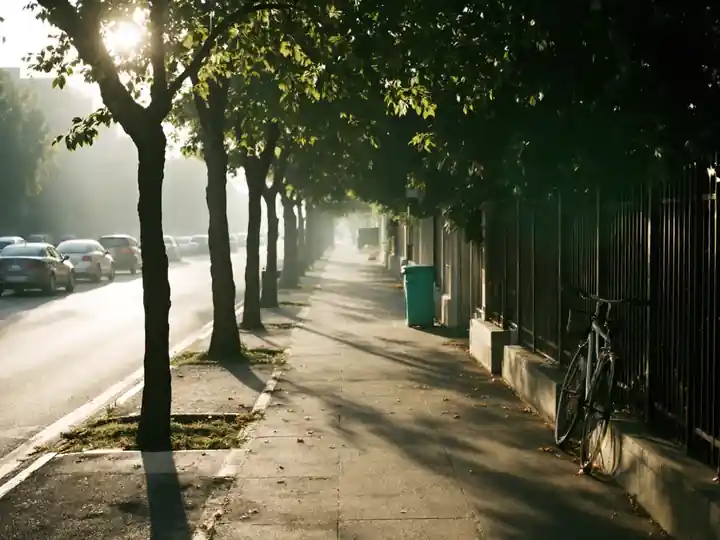 A quiet tree-lined sidewalk in early morning with a parked bicycle