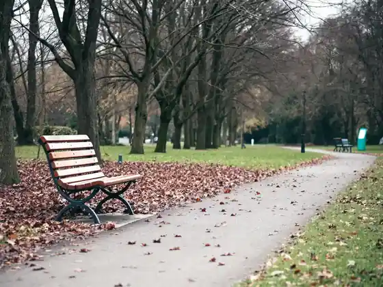 An empty park bench under bare trees on a gray morning