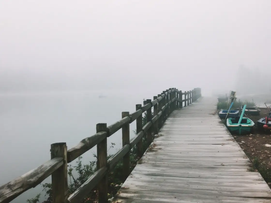 A footpath along a calm lake in early morning mist