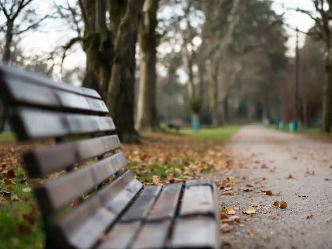 A park bench beside a gravel path under bare autumn trees